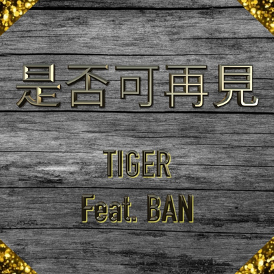 陳曉揚 TIGER's cover