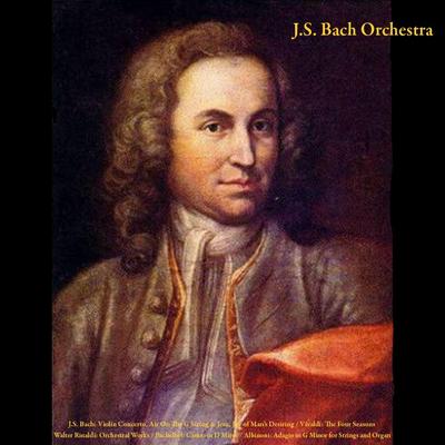 Violin Concerto in a Minor, No. 1, BWV 1041: III. Allegro Assai By Julius Frederick Rinaldi, J.S. Bach Orchestra's cover