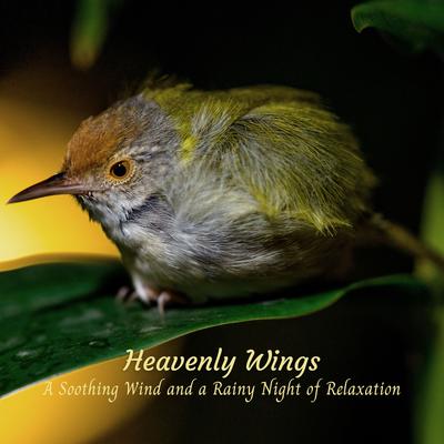 Heavenly Wings: A Soothing Wind and a Rainy Night of Relaxation's cover