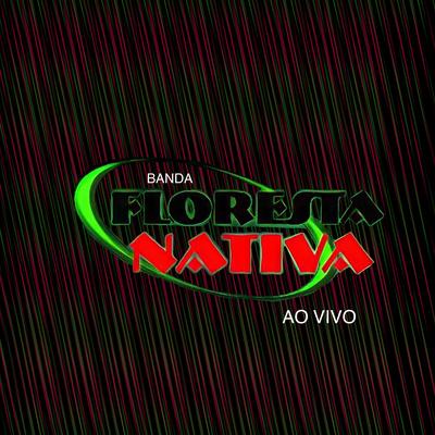 Eu Te Quero (Ao Vivo) By Banda Floresta Nativa, Dan Novaes's cover