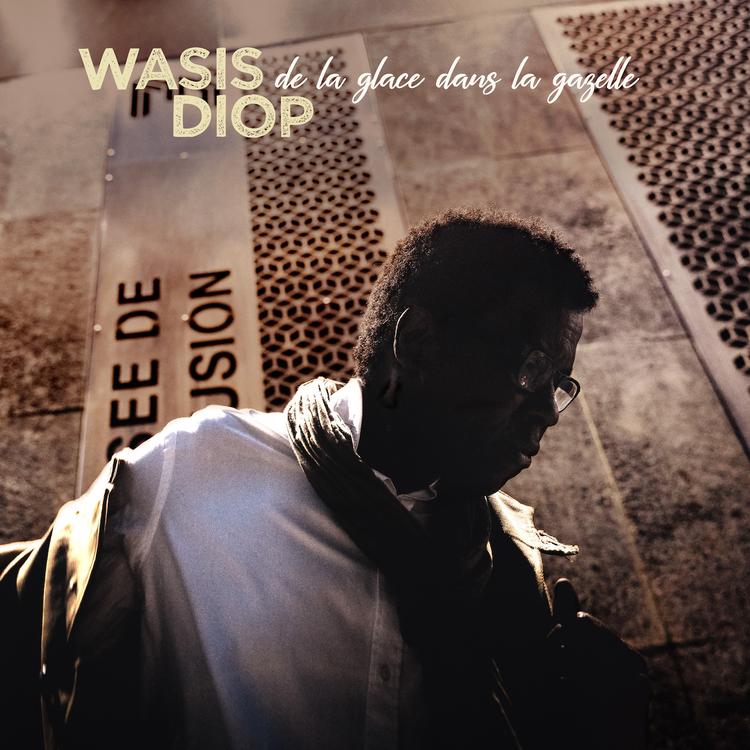 Wasis Diop's avatar image