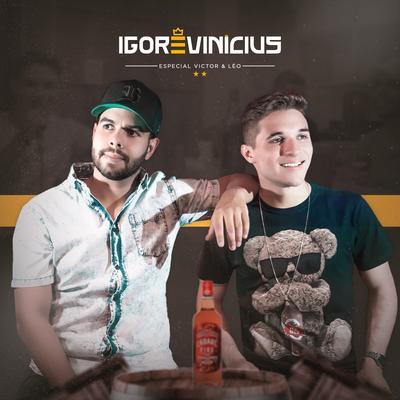 Fada / Amigo Apaixonado / Vida Boa /  Quando Você Some / O Granfino e o Caipira (Especial Victor & Léo) (Cover) By Igor & Vinícius, wLm's cover