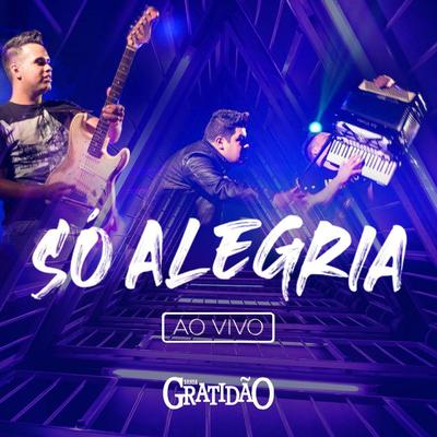 Só Alegria (Ao Vivo) By Banda Gratidão's cover