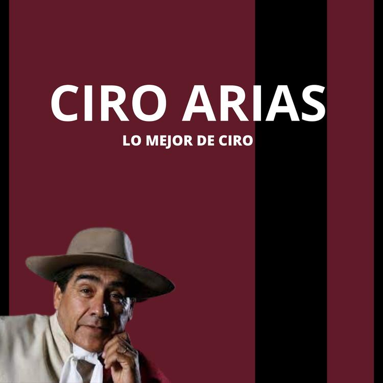 Ciro Arias's avatar image