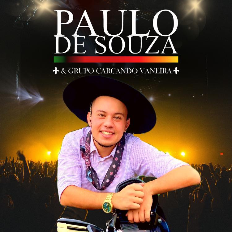 Paulo De Souza's avatar image