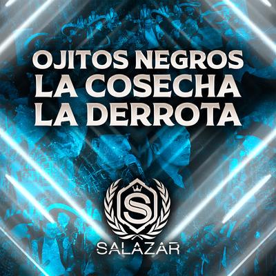 Ojitos Negros, la Cosecha, la Derrota's cover