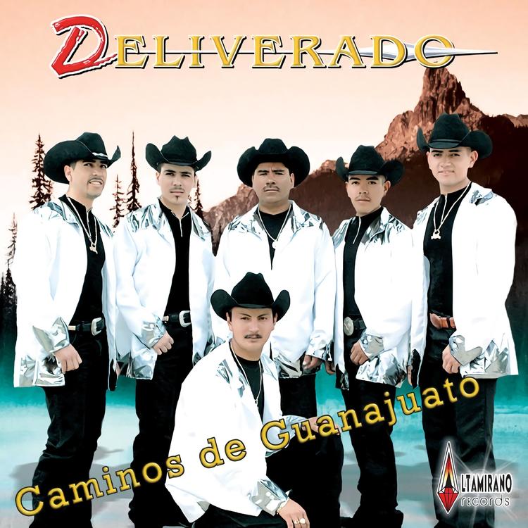 Deliverado's avatar image