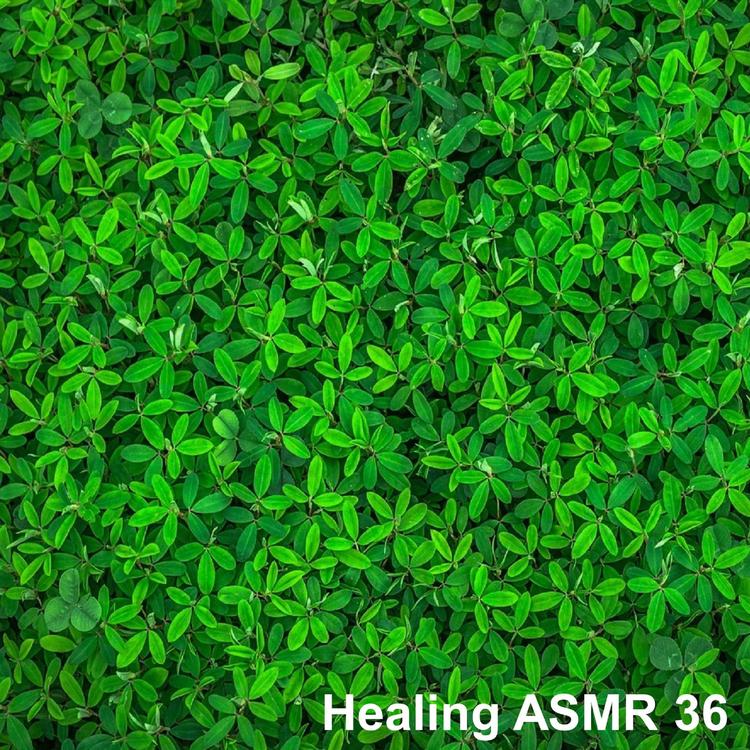 Healing ASMR's avatar image