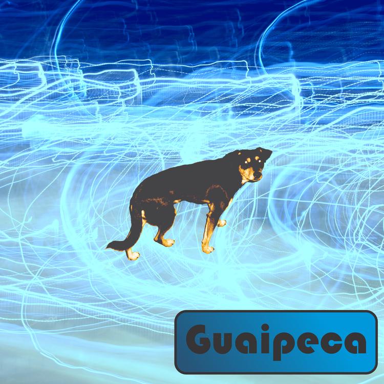 Guaipeca's avatar image