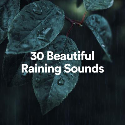 30 Beautiful Raining Sounds, Pt. 23's cover