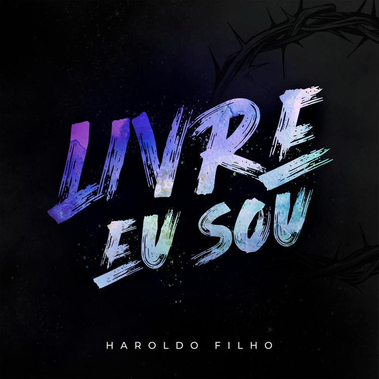 Haroldo Filho's avatar image