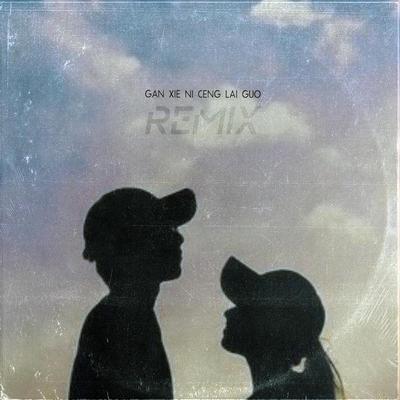 Gan Xie Ni Ceng Lai Guo (Remix)'s cover