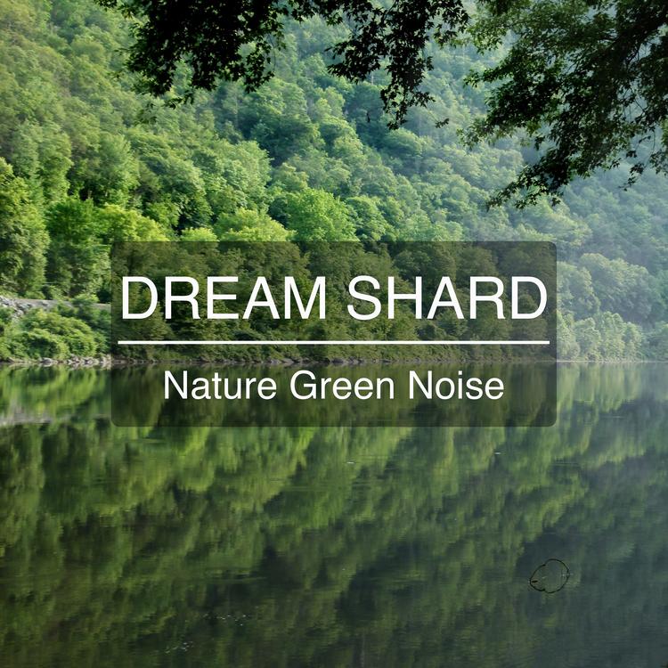 Dream Shard's avatar image