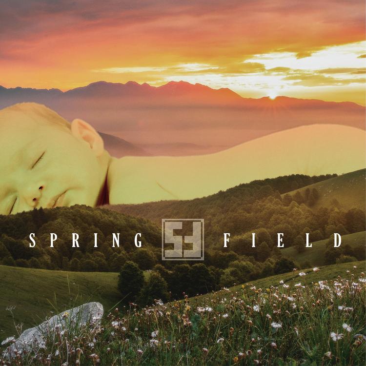 Spring Field's avatar image