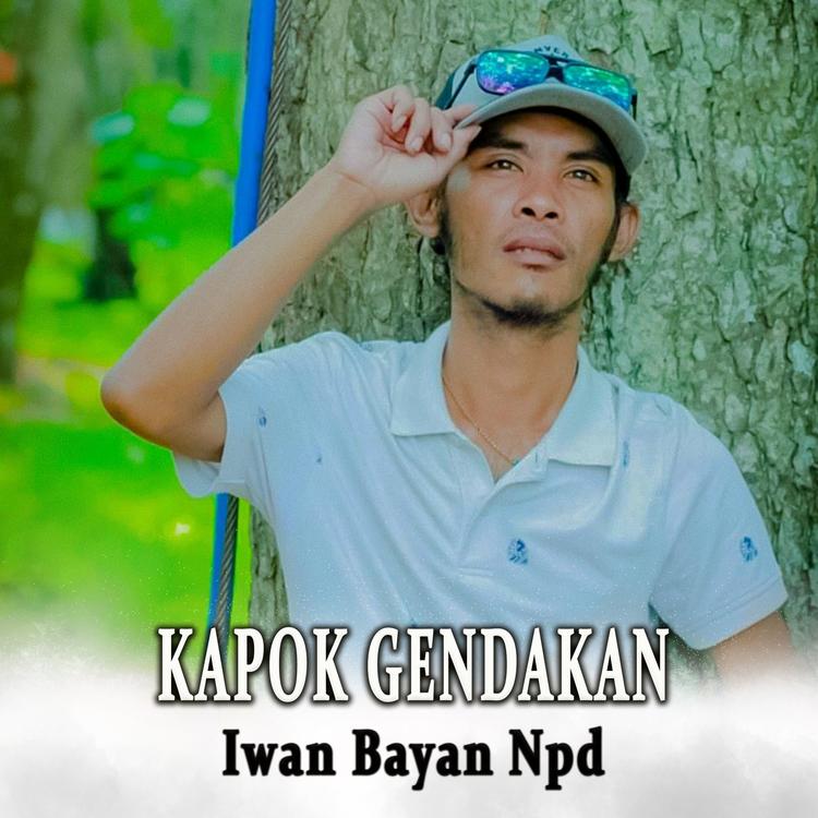 Iwan Bayan Npd's avatar image