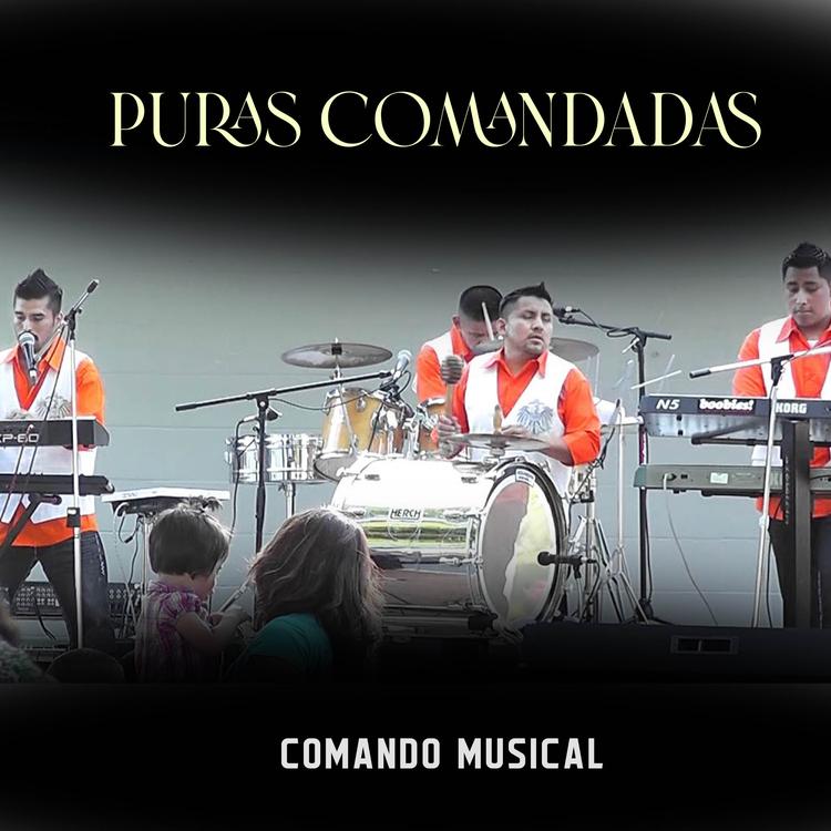 Comando Musical's avatar image