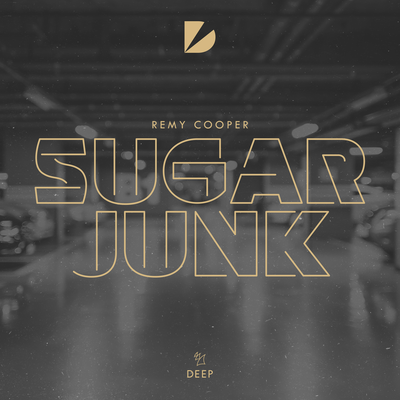 Sugar Junk By Remy Cooper's cover