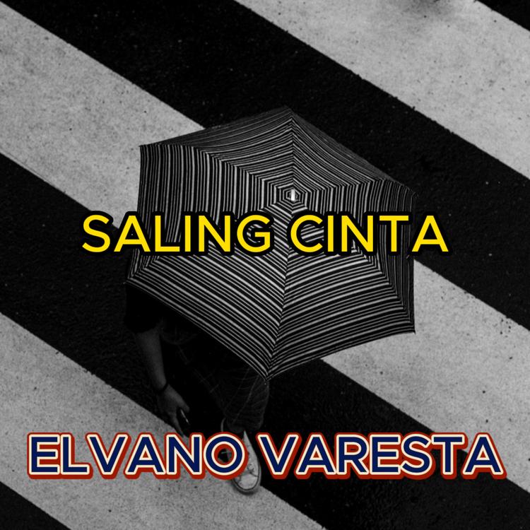 Elvano Varesta's avatar image