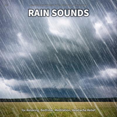 Rain Sounds, Pt. 99's cover