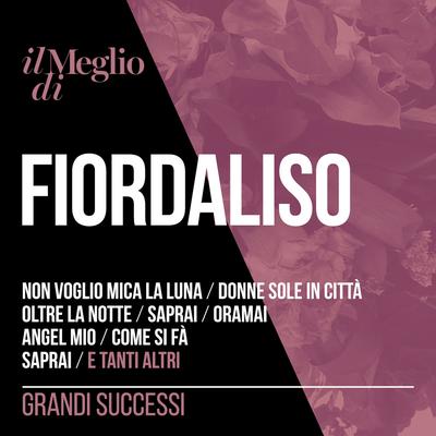 Il Meglio Di Fiordaliso: Grandi Successi's cover