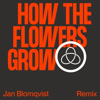 How the Flowers Grow (Jan Blomqvist Remix) By Röyksopp, Pixx, Jan Blomqvist's cover