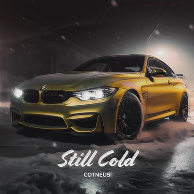 Still Cold (Instrumental)'s cover
