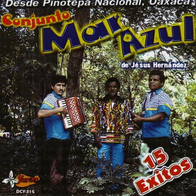 15 Exitos's cover