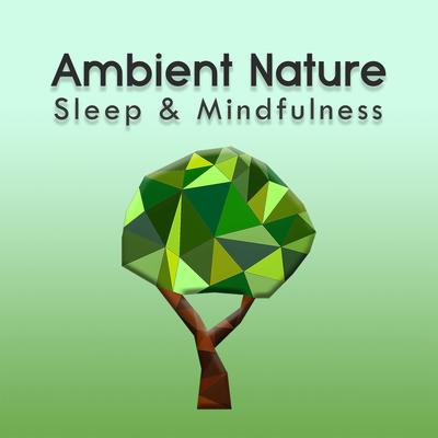 Ambient Nature Sleep Sounds, Pt. 4 By Sleepy Times, Natural Sound Makers, The Sleep Specialist's cover