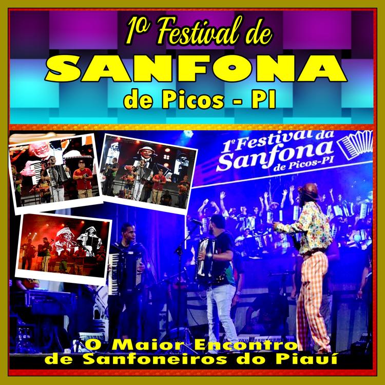 Festival de Sanfona's avatar image