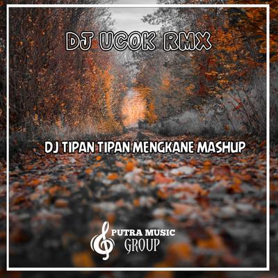 Dj Tipan Tipan Mengkane Mashup's cover