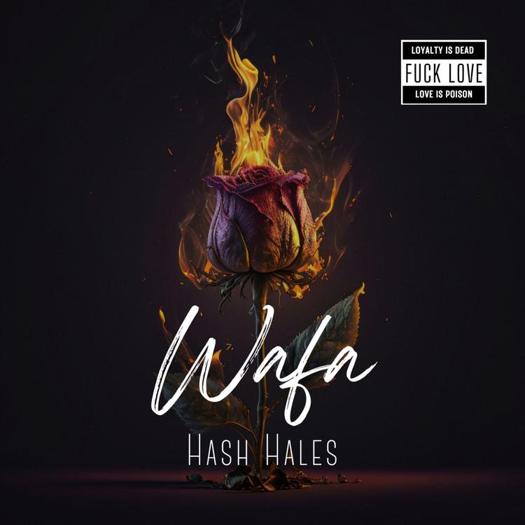 Hash Hales's avatar image