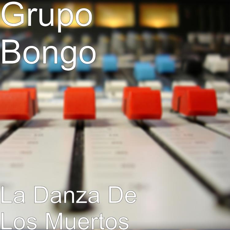 Grupo Bongo's avatar image