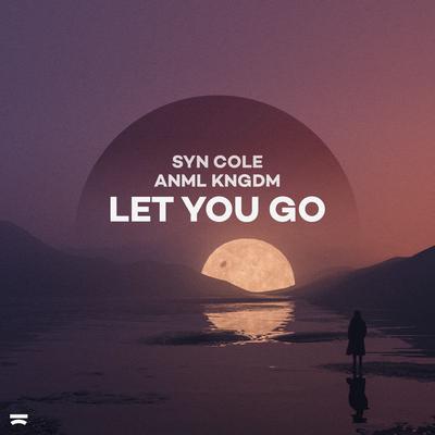 Let You Go By Syn Cole, ANML KNGDM's cover