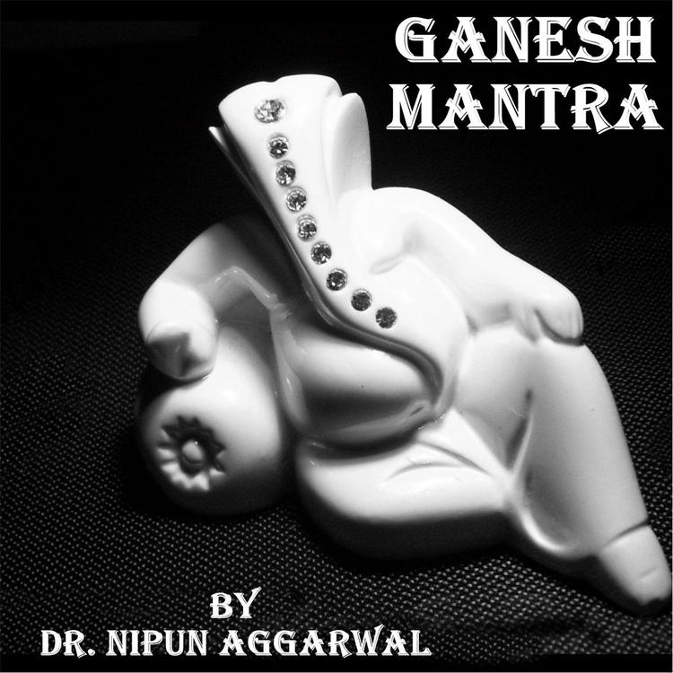 Dr. Nipun Aggarwal's avatar image