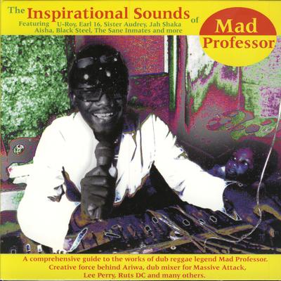 Fast Forward Into Dub By Mad Professor's cover