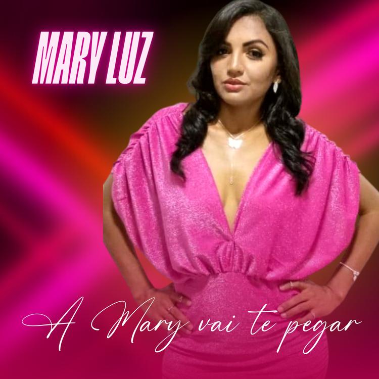 Mary Luz's avatar image