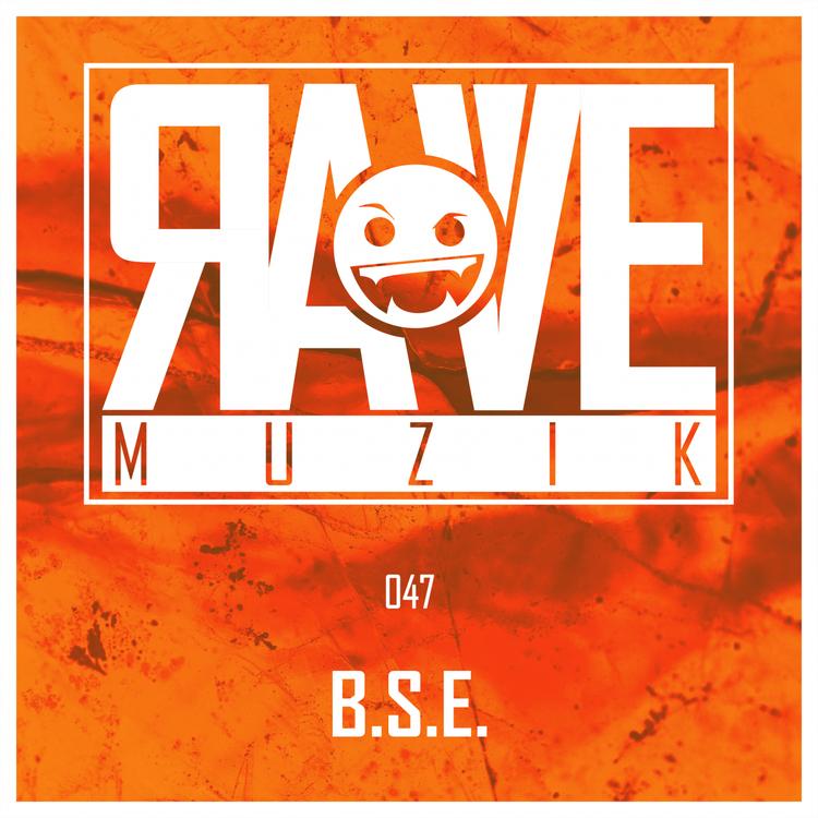 B.S.E.'s avatar image