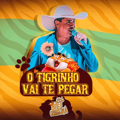 O Tigrinho Vai Te Pegar By Rei da Cacimbinha's cover