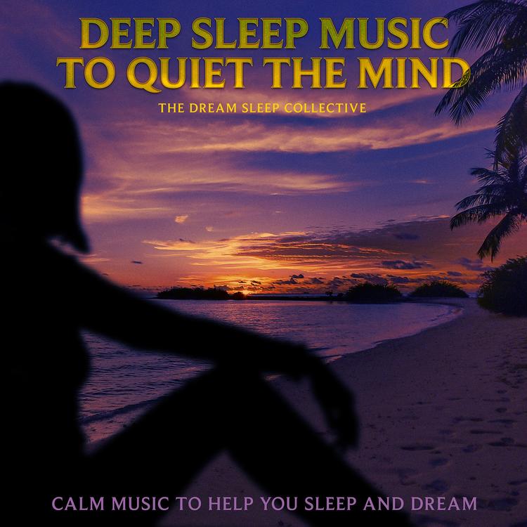 The Dream Sleep Collective's avatar image