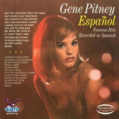 Espanol - Famous Hits Recorded In Spanish's cover