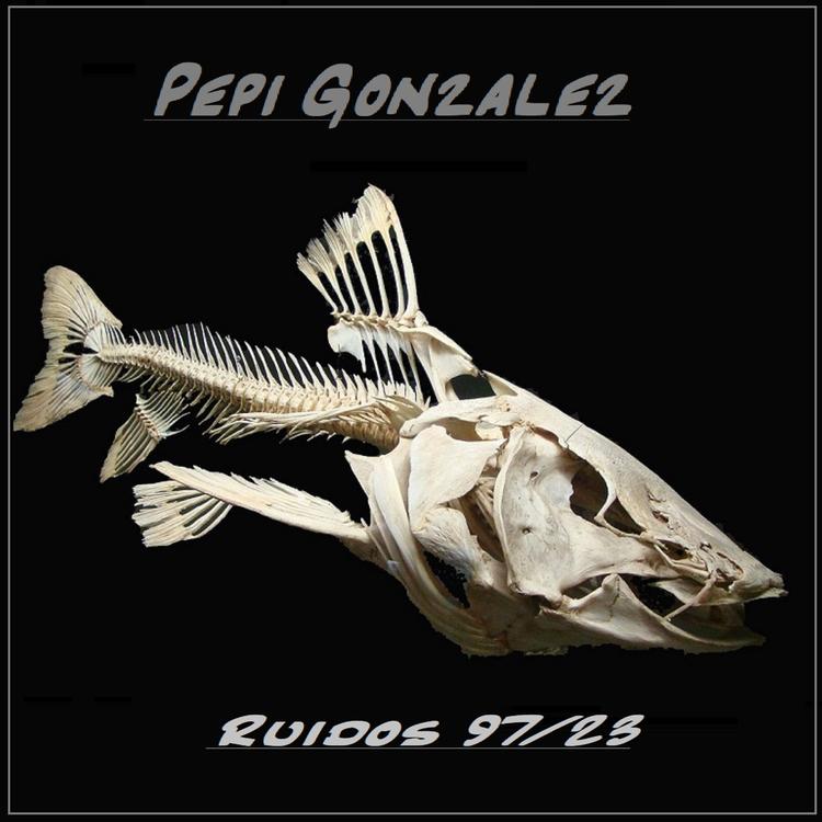 Pepi Gonzalez's avatar image