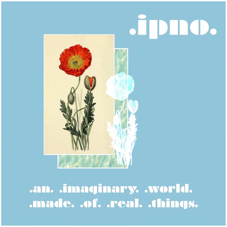 IPNO's avatar image