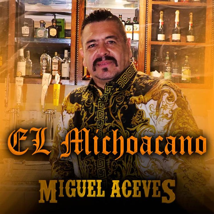 Miguel Aceves's avatar image