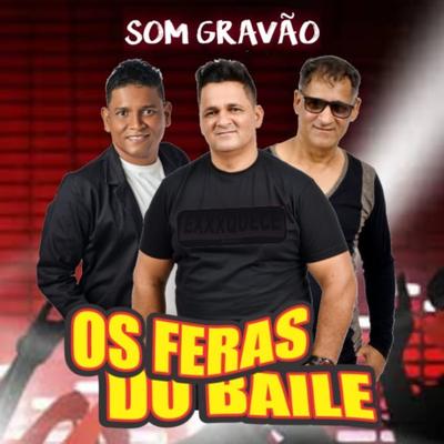 Som Gravão By Os Feras do Baile's cover