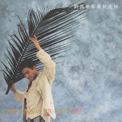 An Li Zhao Mi (Yue) By Andy Lau's cover