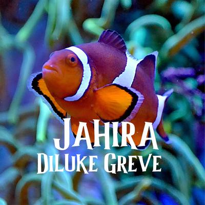 Jahira's cover