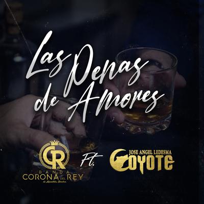 Las Penas De Amores (Feat. El Coyote Y Su Banda Tierra Santa)'s cover