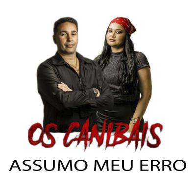 Assumo Meu Erro's cover