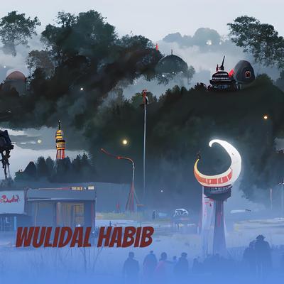 Wulidal Habib (Remastered 2022)'s cover