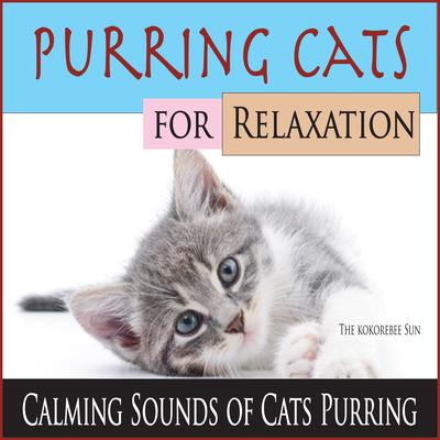 Outdoor Ceiling Fan with Cat Purring (Sleep Sounds) By The Kokorebee Sun's cover